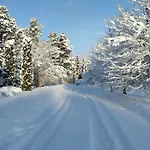Susimetsa * Laadi
