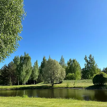Susimetsa