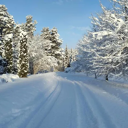 Susimetsa * Laadi
